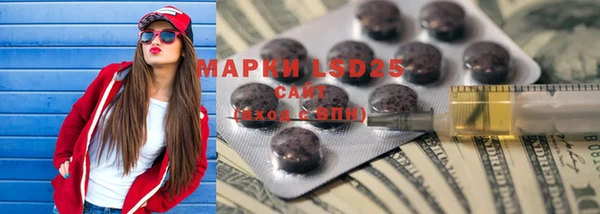 прущий лед Лагань