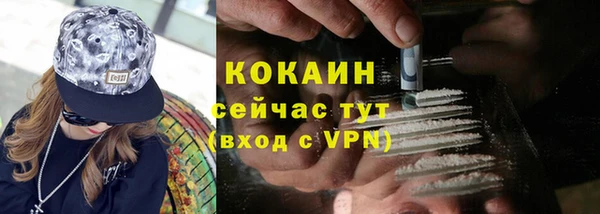 бошки Лабытнанги